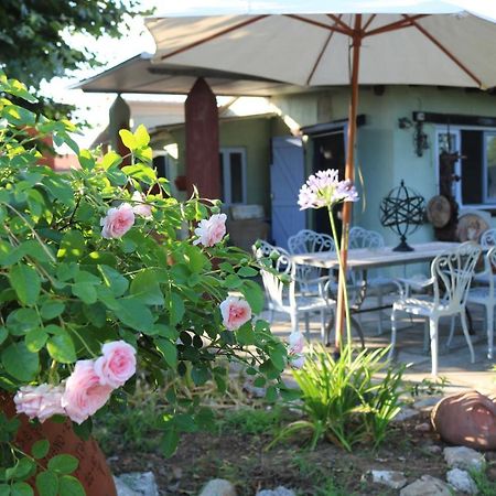 Lo Chalet Dell'Artista Torre del Lago Puccini Εξωτερικό φωτογραφία